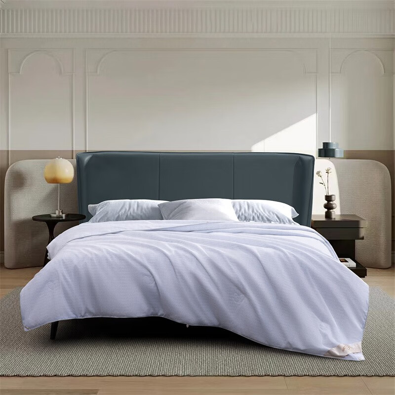 水星家纺 DH莘德拉蚕丝被 200cm&times;230cm