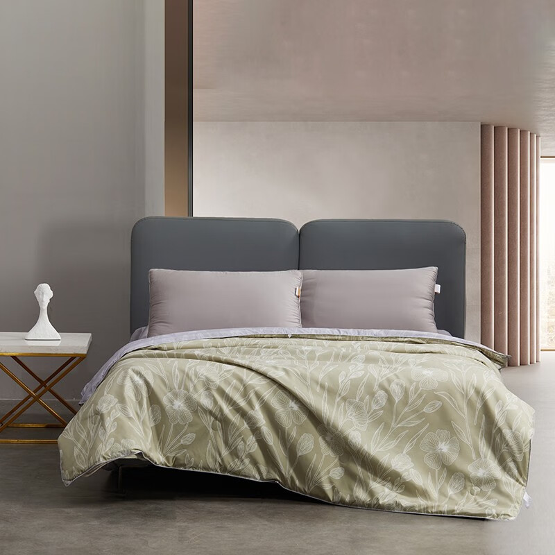 水星家纺 DH臻萃之选蚕丝被 200cm&times;230cm